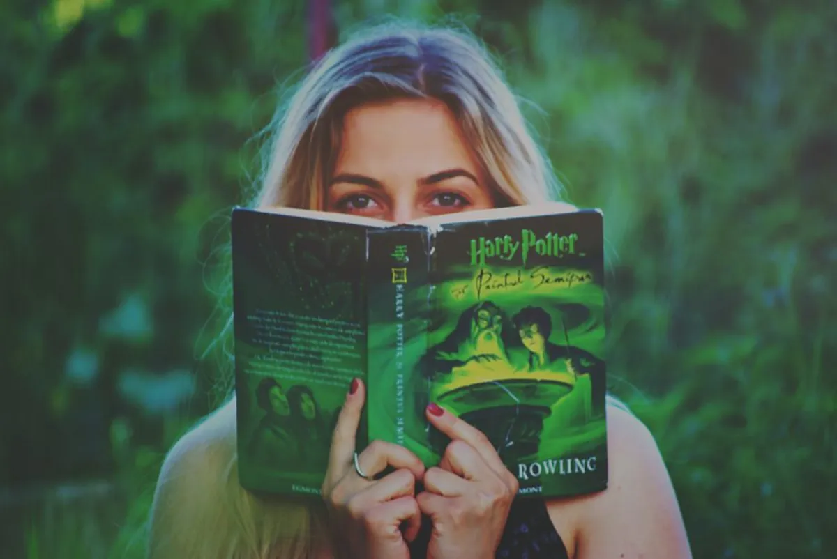 fantasy novel